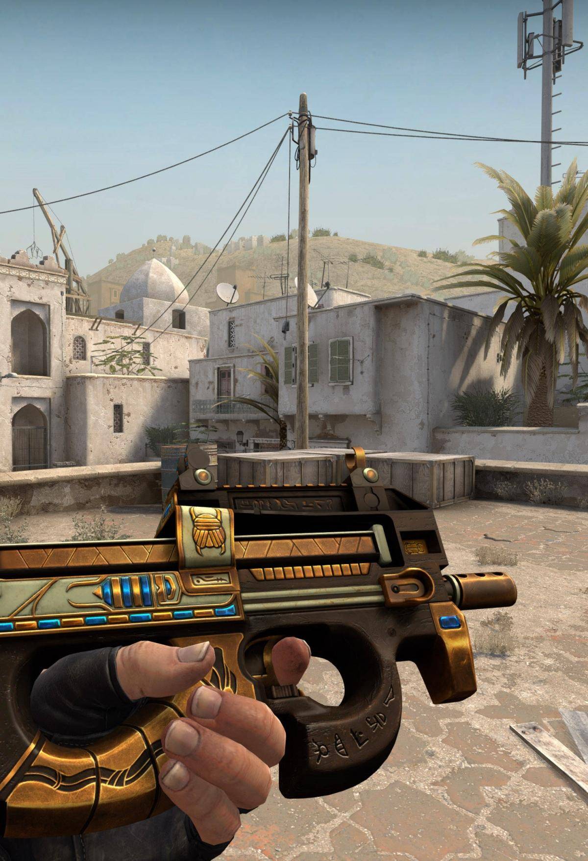 集体表现的 集体表现的