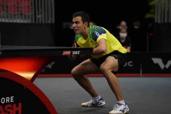 不应低估脑 不应低估脑